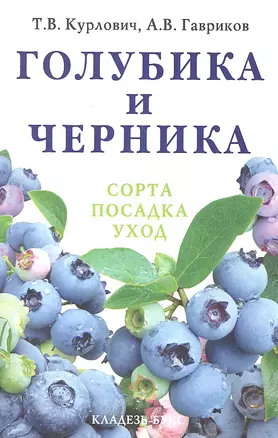 Голубика и черника — 2307038 — 1