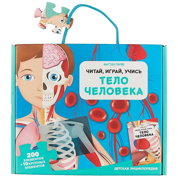 Тело человека 2643286 — 2
