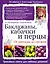 Баклажаны, кабачки и перцы. От рассады до урожая — 2504941 — 1