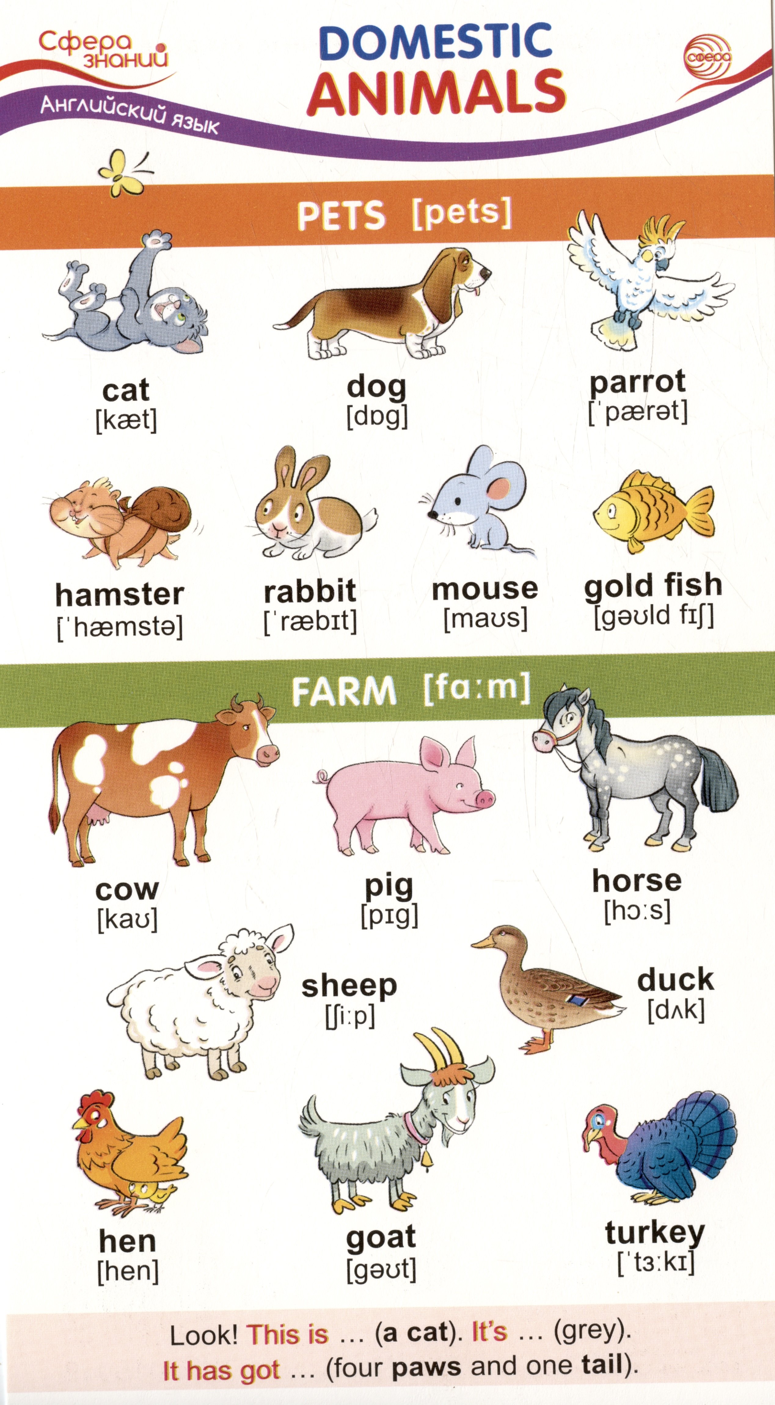 

Карточка-шпаргалка. Domestic Animals (Домашние животные)