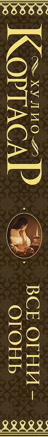 Книга Все огни - огонь (Хулио Кортасар) — 3