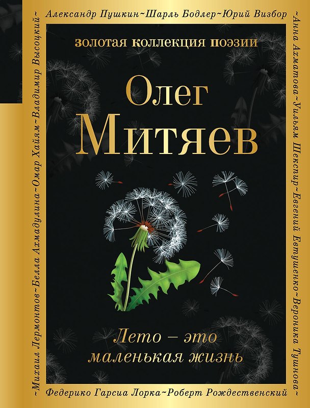 Книга Лето - это маленькая жизнь (Олег Митяев) — 1