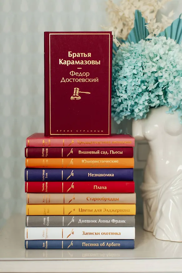 Книга Братья Карамазовы (Федор Достоевский) — 9