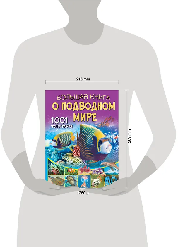 Книга Большая книга о подводном мире. 1001 фотография (Вячеслав Ликсо) — 8
