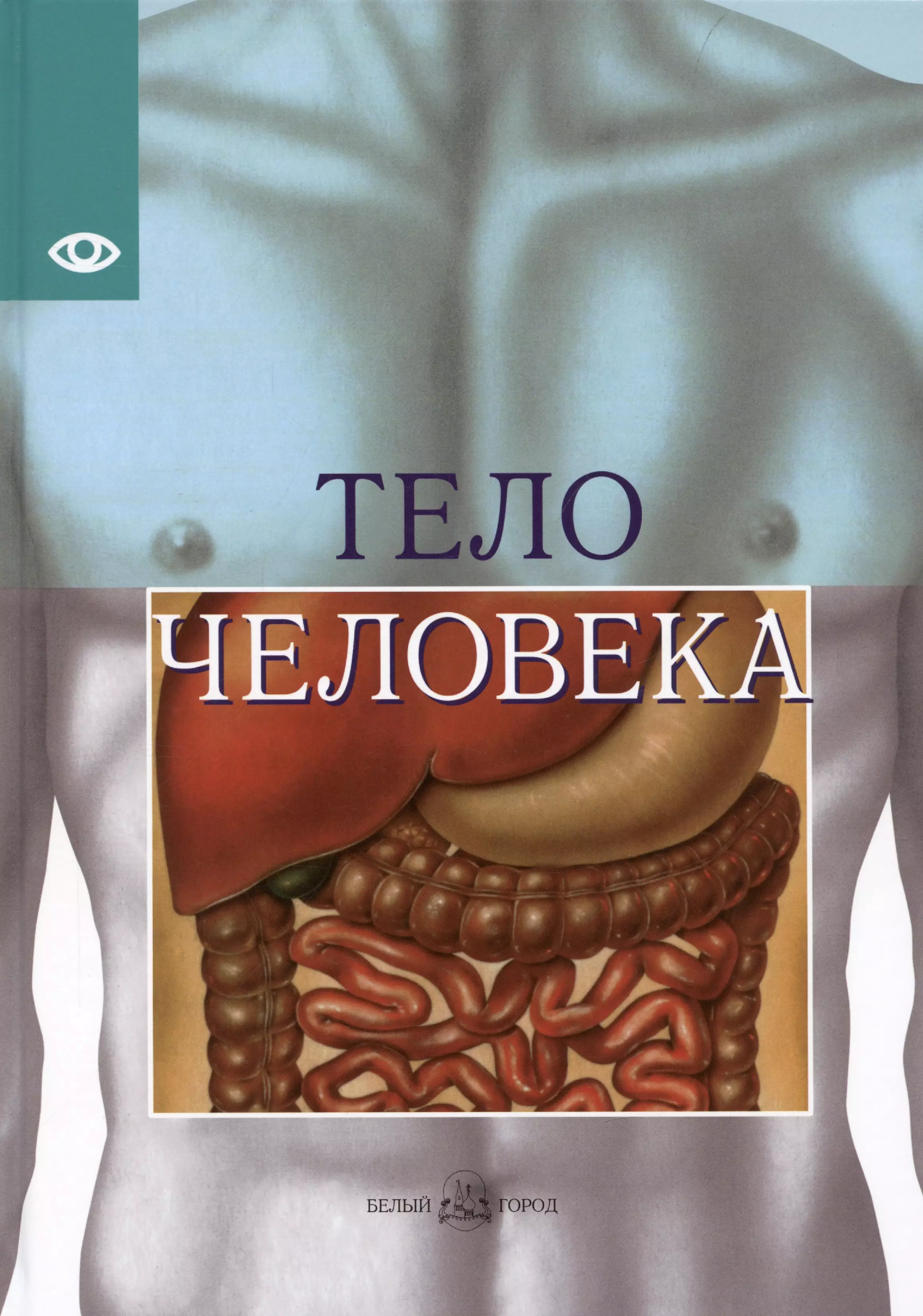 Тело человека