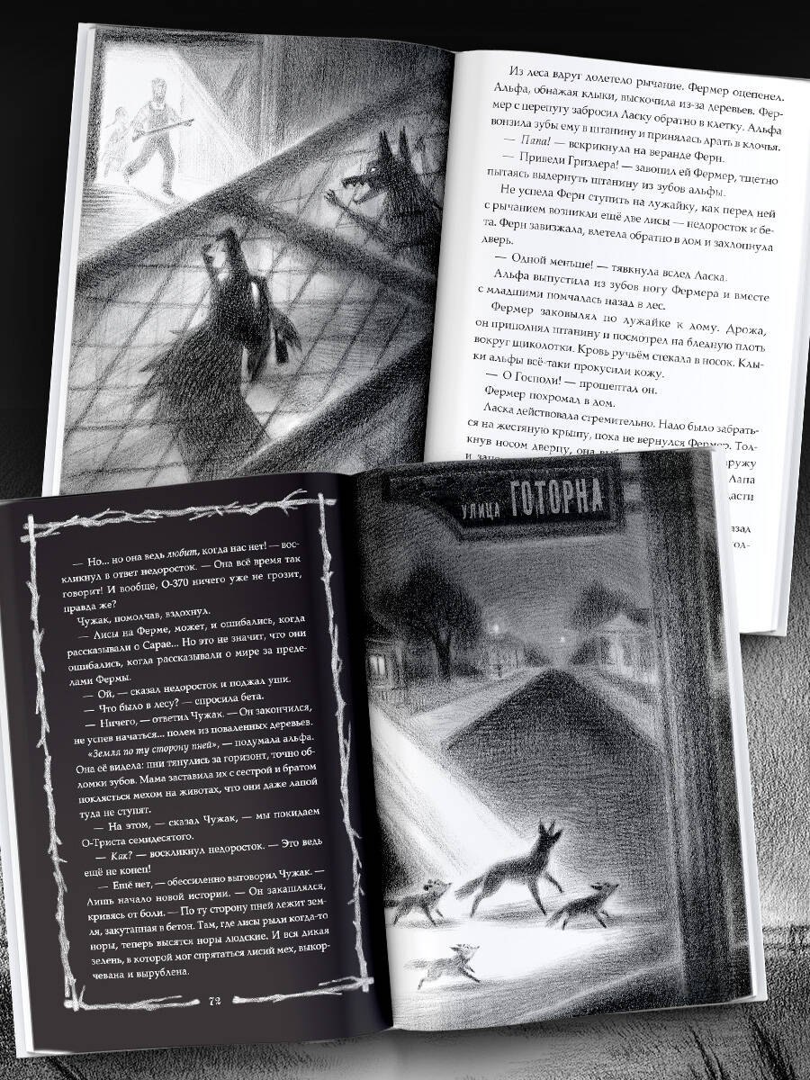 Изображение бумажной книги