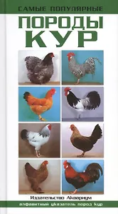 Самые популярные породы кур