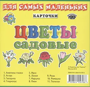 Карточки Цветы садовые