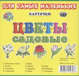 Карточки Цветы садовые — 2555192 — 1