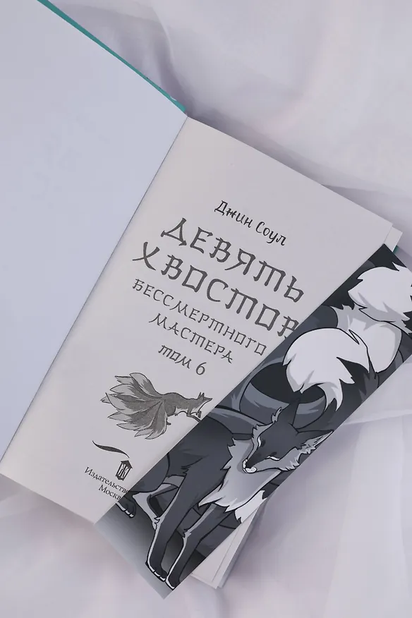 Книга Девять хвостов бессмертного мастера. Том 6 (Джин Соул) — 12