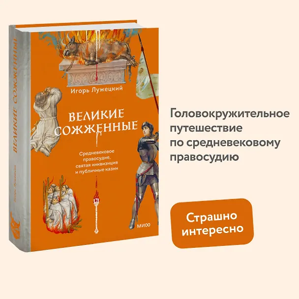 Книга Великие сожженные. Средневековое правосудие, святая инквизиция и публичные казни (Игорь Лужецкий) — 2