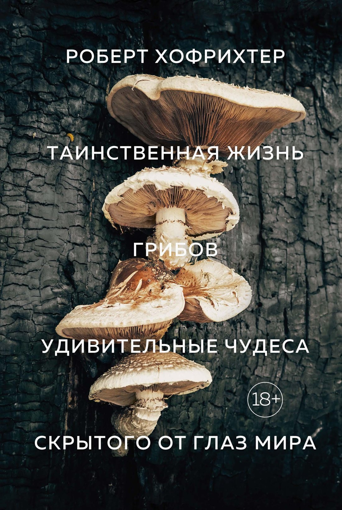 

Таинственная жизнь грибов. Удивительные чудеса скрытого от глаз мира