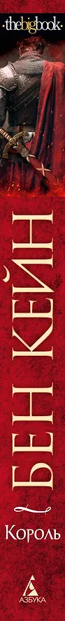Книга Ричард Львиное Сердце. Книга 3. Король (Бен Кейн) — 4