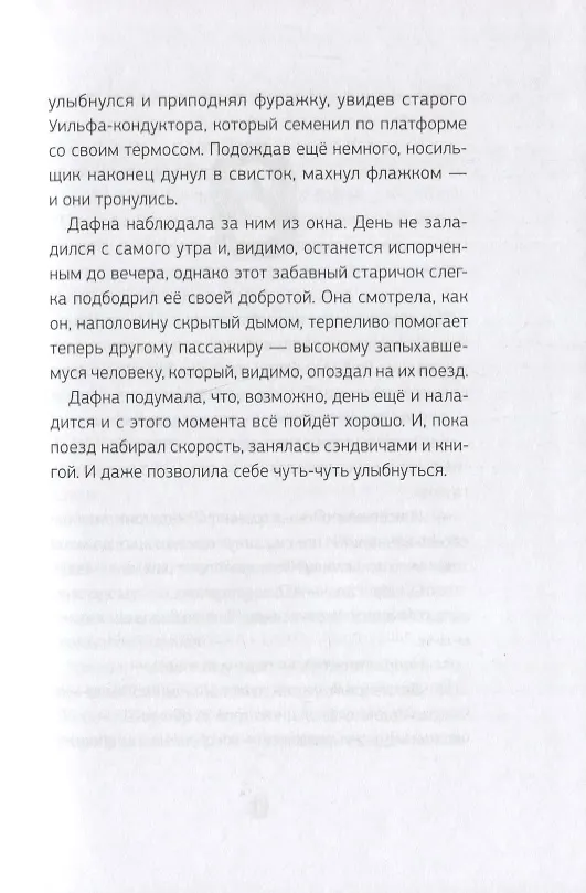 Книга Эмили Лайм и похитители книг (Дейв Шелтон) — 5