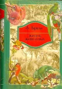 Жизнь животных