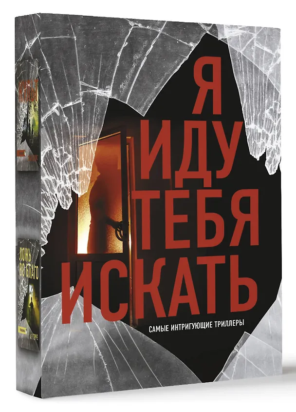 Книга Я иду тебя искать. Самые интригующие триллеры (Эбби Дэвис, Трейси Бьюкэнэн, А. Торре) — 4