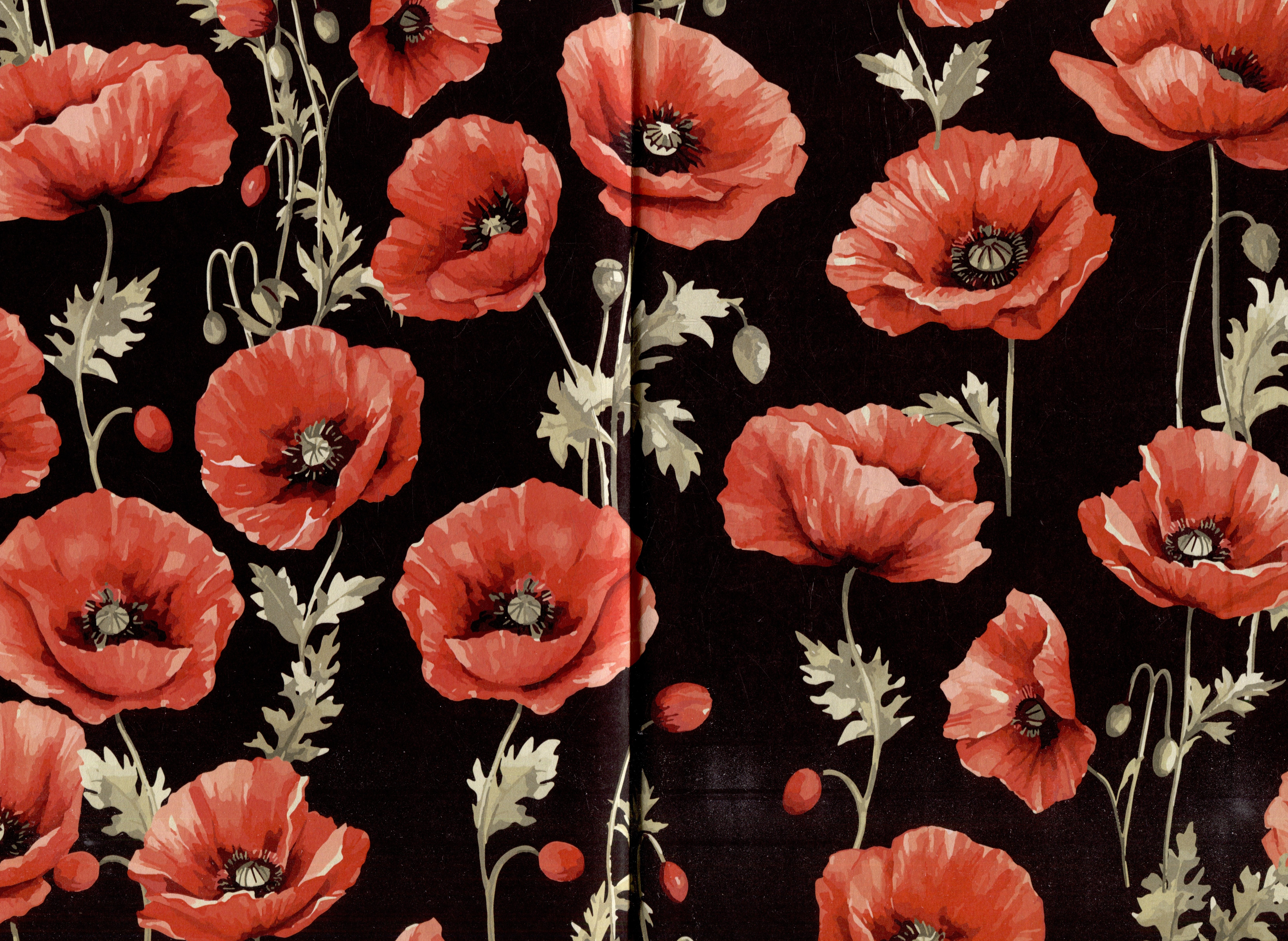 Изображение бумажной книги