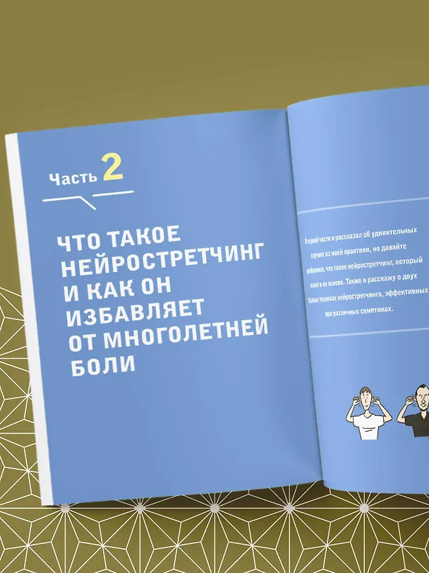 Книга Нейрогимнастика. Новейшая японская методика растяжки нейронов, позволяющая избавиться от любой тянущей или ноющей боли (Тадаси Канэко) — 12