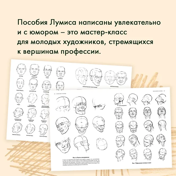 Книга Рисование головы и рук (Эндрю Лумис) — 8