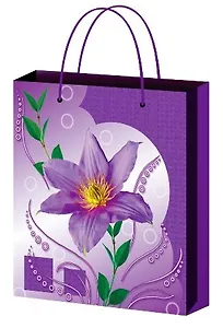 Пакет подарочный бумажный А5 18*22,7 ламинат, жен.тематика, ассорти M, МегаМАГ