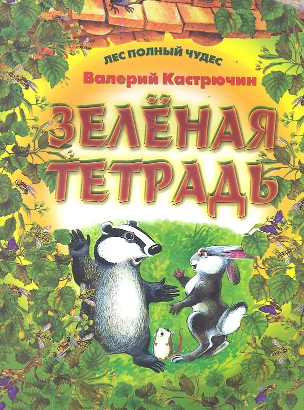 Книга Зеленая тетрадь (Валерий Кастрючин) — 1