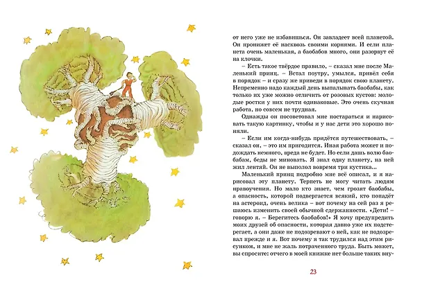 Книга Маленький принц (Антуан де Сент-Экзюпери) — 12