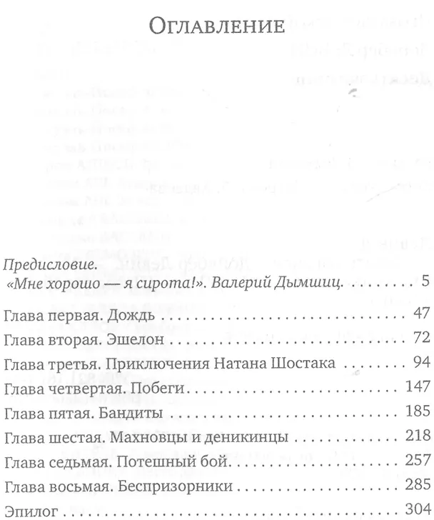 Книга Десять вагонов (Дойвбер Левин) — 2