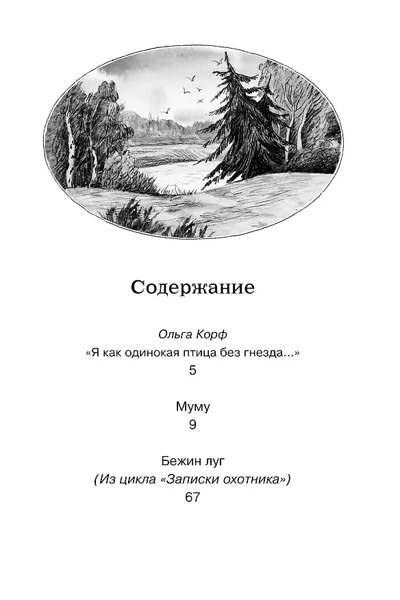 Книга Муму (Иван Тургенев) — 10