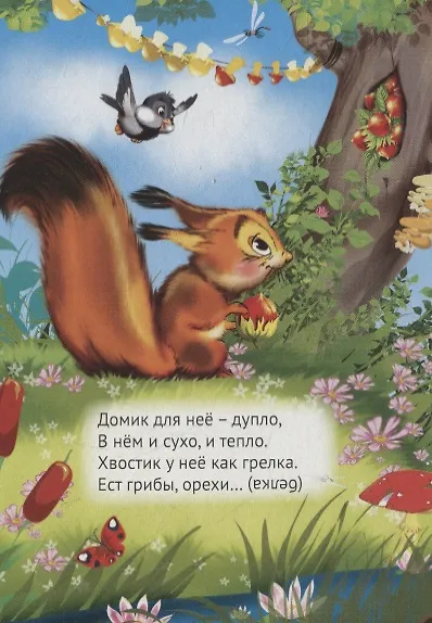 Книга Это кто? (черепаха) (Инна Ищук) — 6
