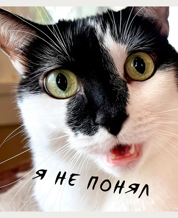 Тетрадь общая «Котики», 96 листов в клетку, А5 - Listoff 3033089 — 5