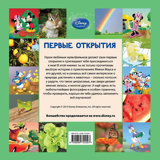 Книга Разноцветный пикник (А. Жилинская) — 2