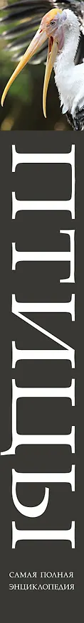 Книга Птицы. Самая полная энциклопедия () — 3