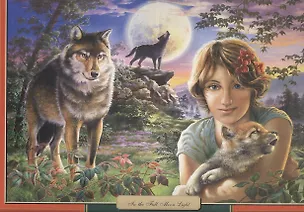 Пазл 1000 С-102785 В свете Луны (68х47см) (коробка) (Castorland) 2382127