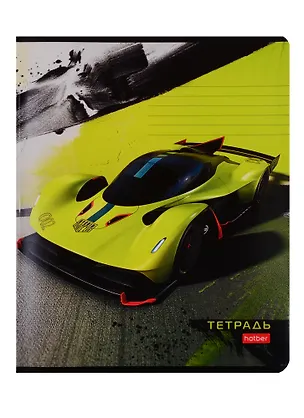 Тетрадь в клетку Hatber, "Для мальчиков", 24 листа, в ассортименте 255007