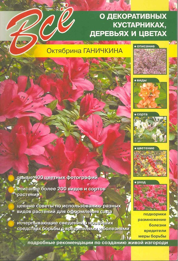 Книга Все о декоративных кустарниках, деревьях и кустах (Октябрина Ганичкина) — 1