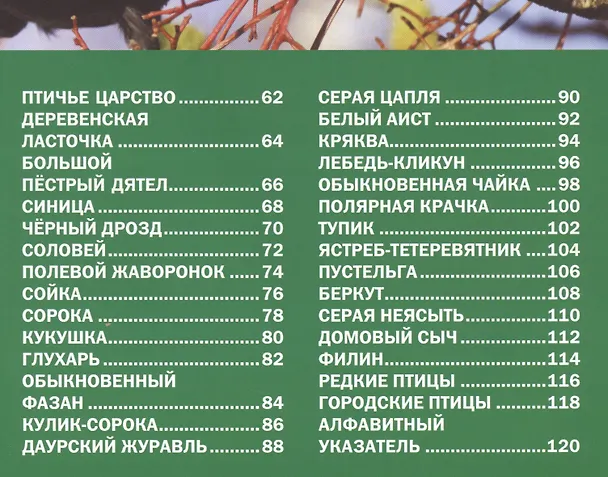 Книга Звери и птицы России.Энциклопедия для детей () — 3