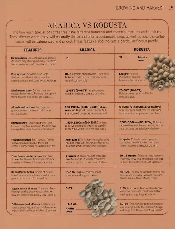 Книга Coffee Obsession. Flavoursome beans. Barista techniques. Over 100 global recipes () — 5