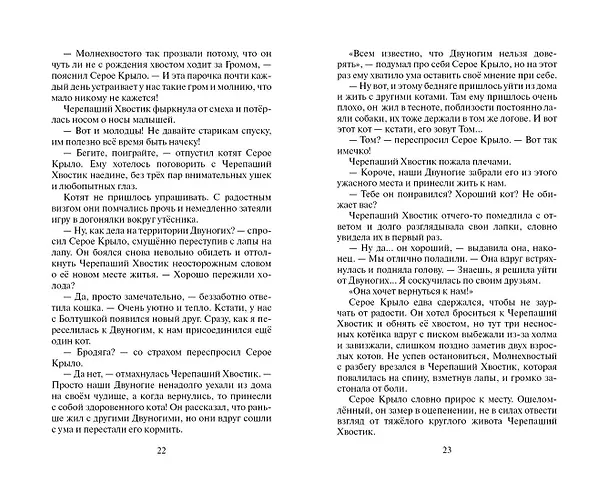 Книга Юность Грома (Эрин Хантер) — 11