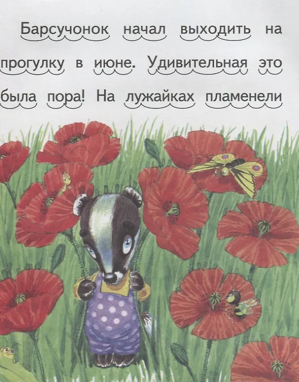 Книга Барсучонок и осень. (Николай Красильников) — 2