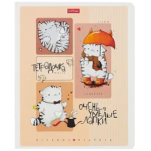 Тетрадь в клетку Hatber, "Приключения кота Пирожка", 24 листа, в ассортименте