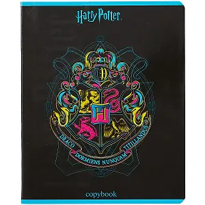 Тетрадь в клетку "Гарри Поттер", 48 листов, в ассортименте