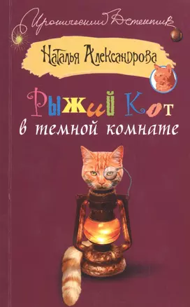 ИД(м).Рыжий кот в темной комнате — 2371228 — 1