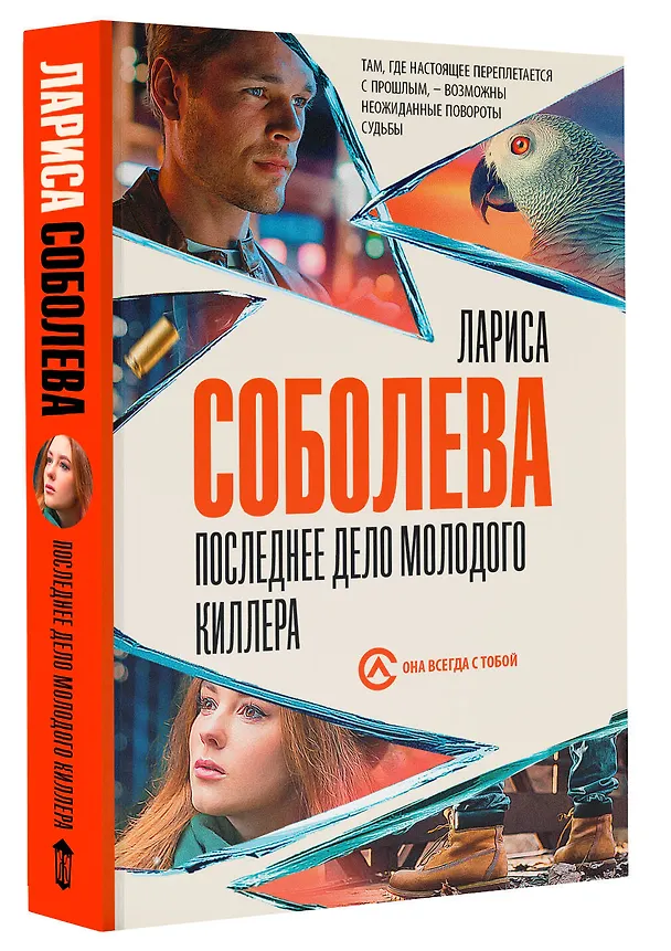 Книга Последнее дело молодого киллера (Лариса Соболева) — 4