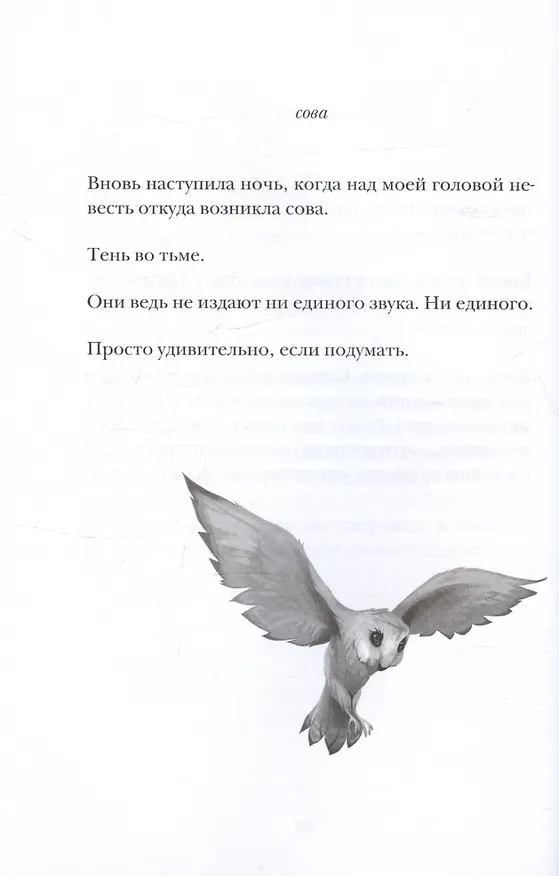 Книга Боб, единственный и неповторимый (Кэтрин Эпплгейт) — 6