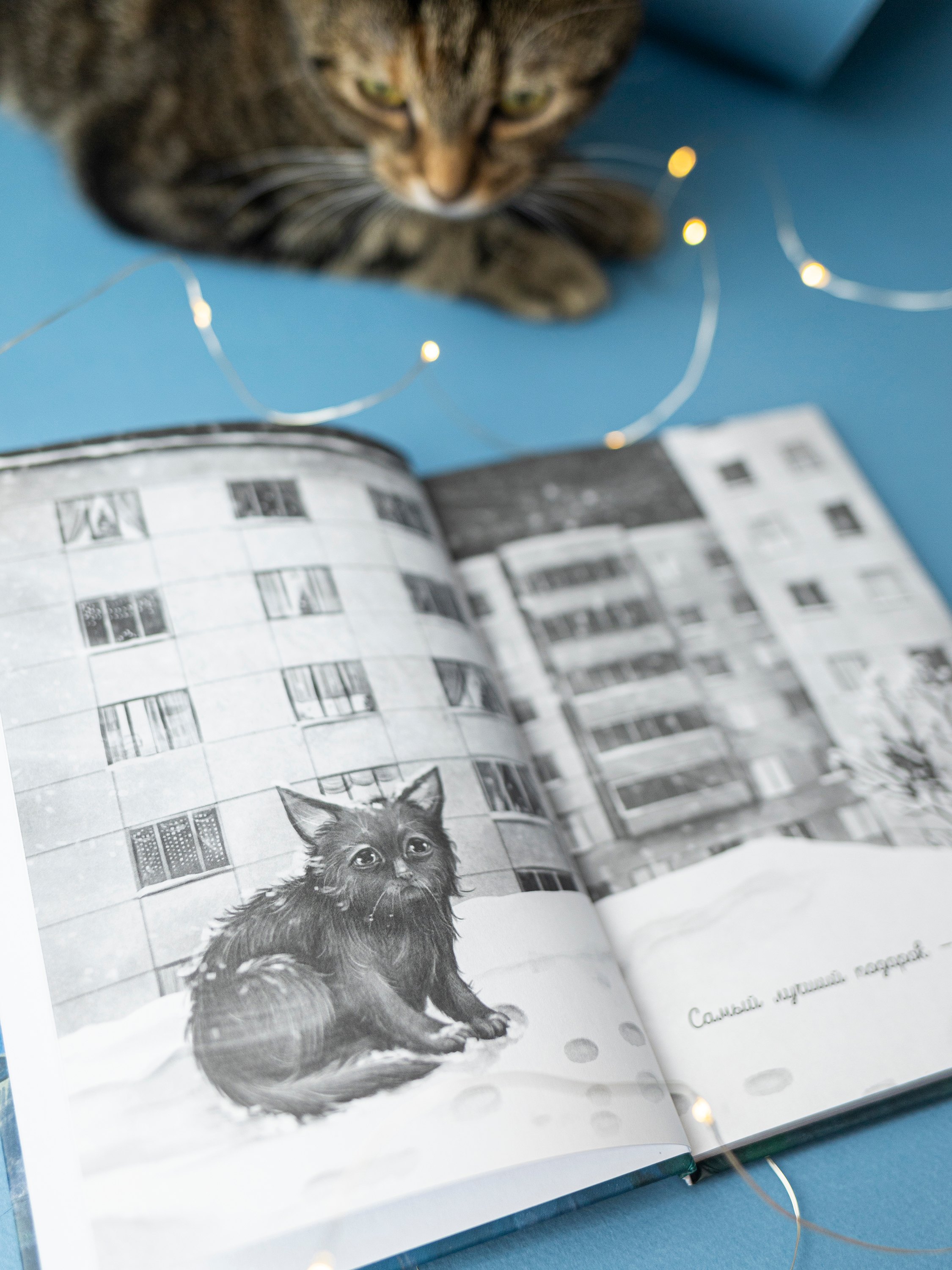 Изображение бумажной книги