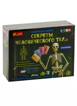 Научная игра - Секреты человеческого тела — 2792516 — 1