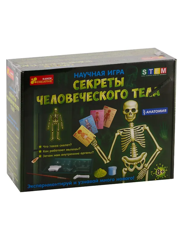 Научная игра - Секреты человеческого тела 2792516 — 1