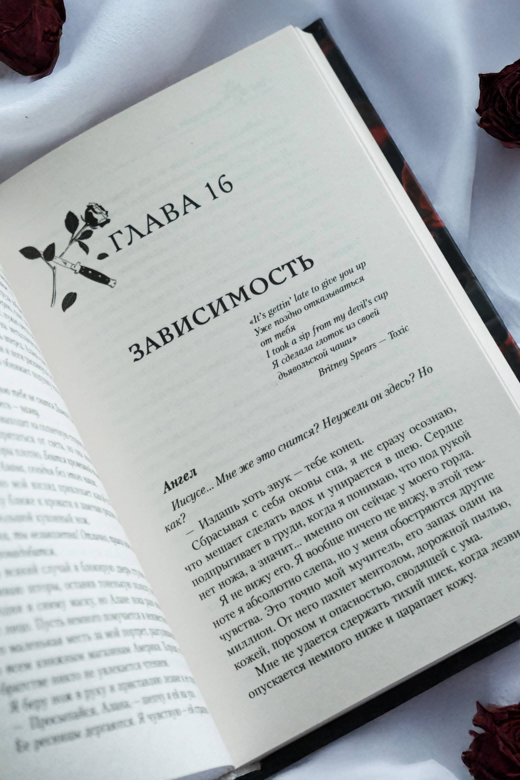 Изображение бумажной книги