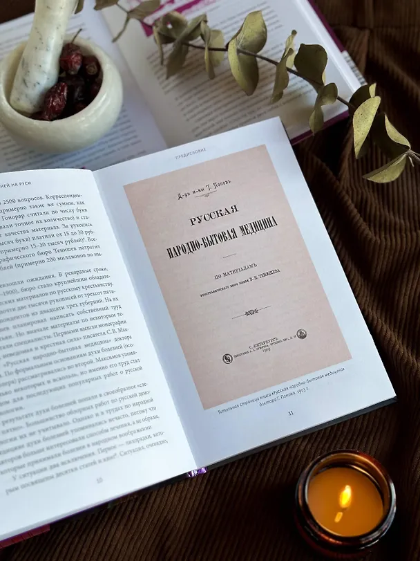 Книга Духи болезней на Руси. Сестры-лихорадки, матушка Оспа и жук в ботиночках (Антон Нелихов) — 12