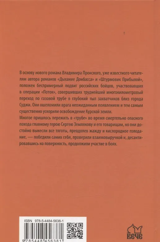 Книга Ангелы Суджи. Операция "Поток" (Владимир Пронский) — 2